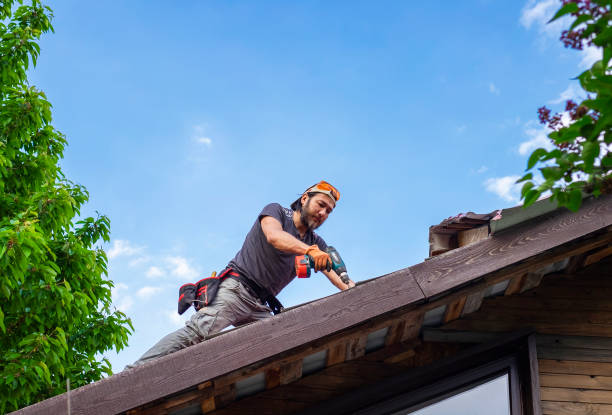 Best Cold Roofs  in Lakeview, MI