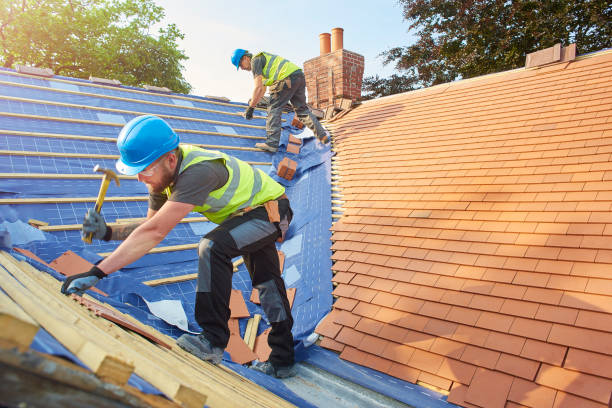 Best Solar Panel Roofing Installation  in Lakeview, MI
